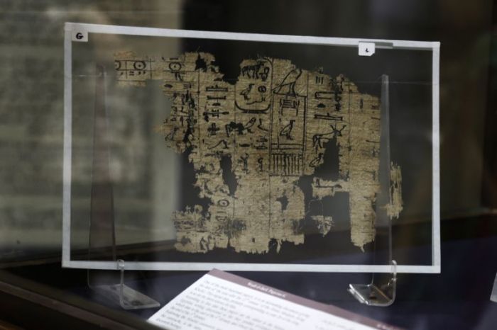 Oldest Egyptian writing on papyrus displayed for first time